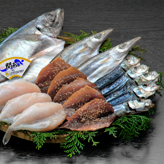 関あじ一夜干しセット